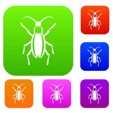 Beetle bug koleksiyonu ayarla