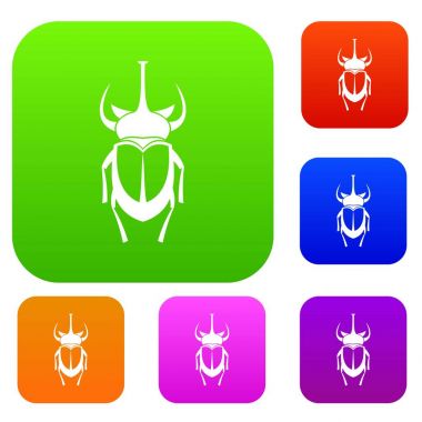 Weevil böceği koleksiyonu ayarla