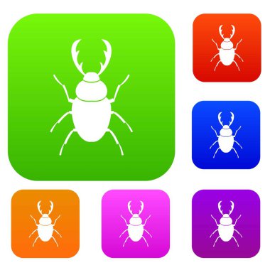 Geyik böceği koleksiyonu ayarla