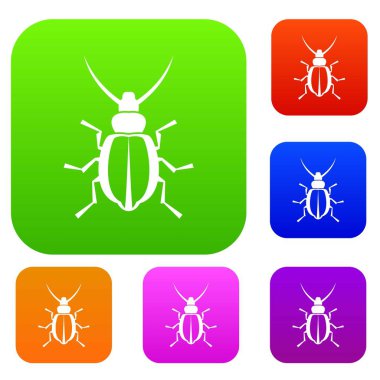 Böceği koleksiyonu ayarla