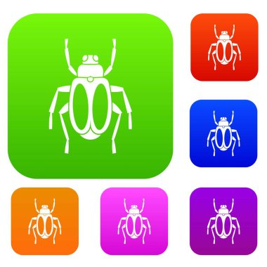 Bok böceği koleksiyonu ayarla