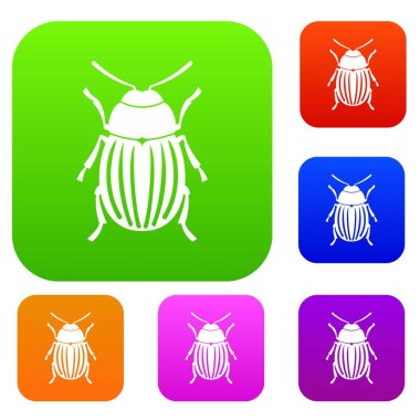 Colorado Patates böceği koleksiyonu ayarla