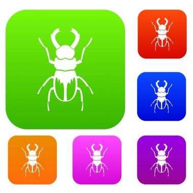 Gergedan böceği koleksiyonu ayarla