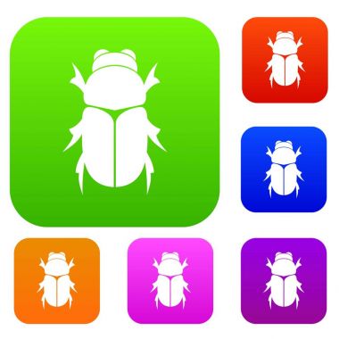 Chafer böceği koleksiyonu ayarla