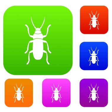 Beetle bug koleksiyonu ayarla