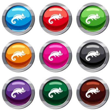 Bukalemun 9 koleksiyonu ayarla