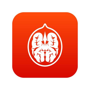 Ceviz simgesi dijital kırmızı