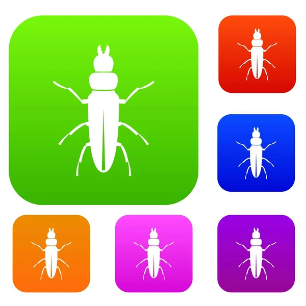 Ensemble d'insectes coléoptères collection — Image vectorielle