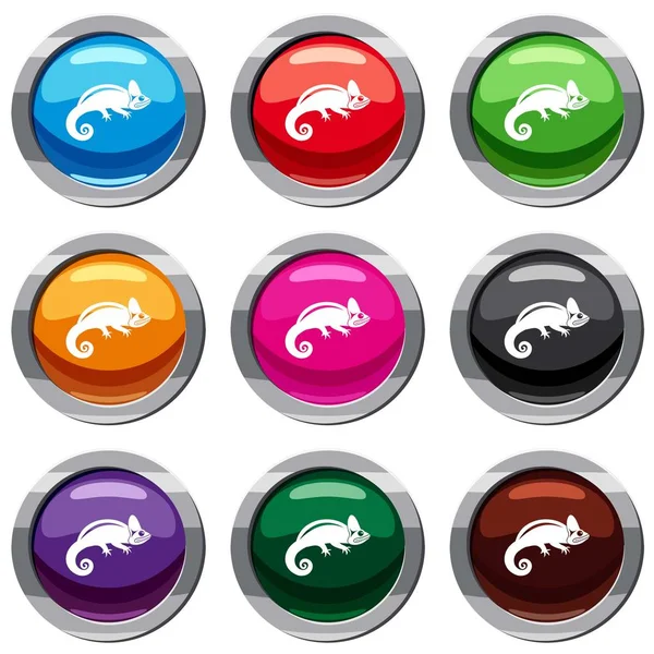 Bukalemun 9 koleksiyonu ayarla