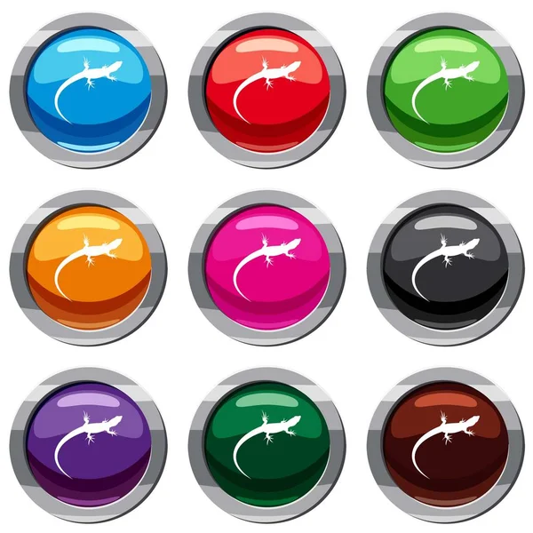 Kertenkele 9 koleksiyonu ayarla