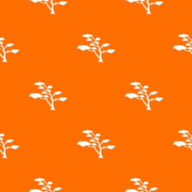 Sedir desen sorunsuz