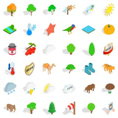 Yaban hayatı Icons set, izometrik stili