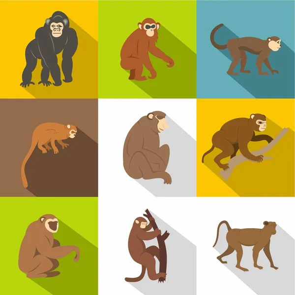 Jungle monkey sady ikon, plochý — Stockový vektor