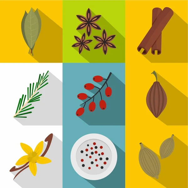 Eco fűszerek és gyógynövények ikon készlet, lapos stílusú — Stock Vector