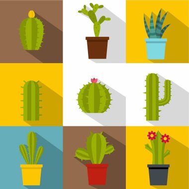 Succulents simge seti, düz stil