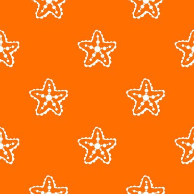 Deniz yıldızı model sorunsuz