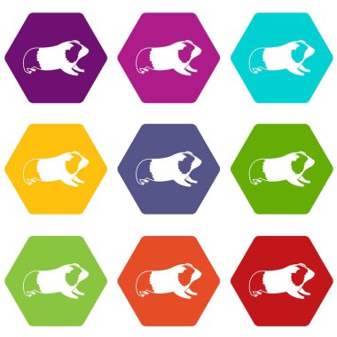Renk altı yüzlü hamster Icon set