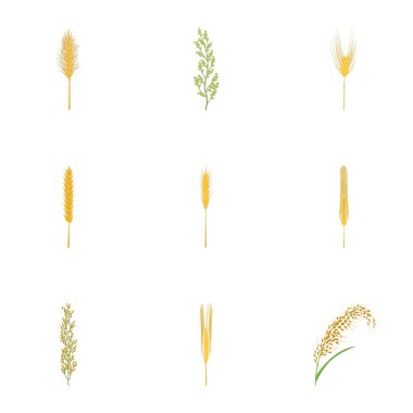 Hububat Icons set, karikatür tarzı