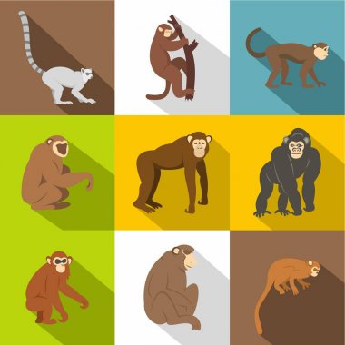 Maymun türleri simge seti, düz stil