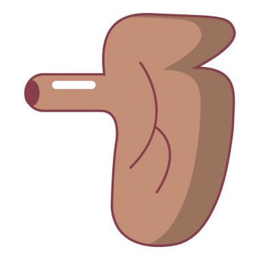 Böbrek ikonu, çizgi film tarzı