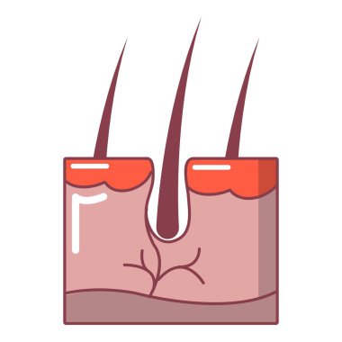 Saç cilt simgesi, karikatür tarzı