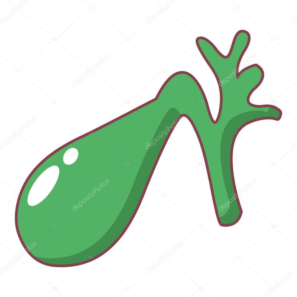 Gallbladder icon, cartoon style