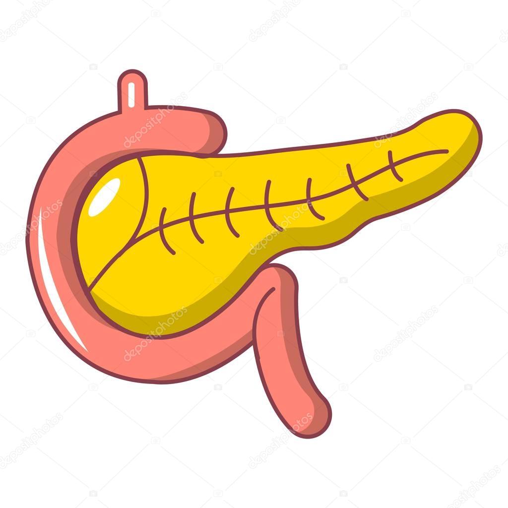 Pancreas icon. Cartoon illustration of pancreas vector icon for web design isolated on white background