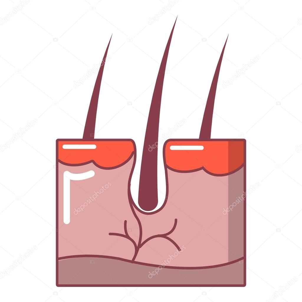 Hair in skin icon. Cartoon illustration of hair in skin vector icon for web design isolated on white background