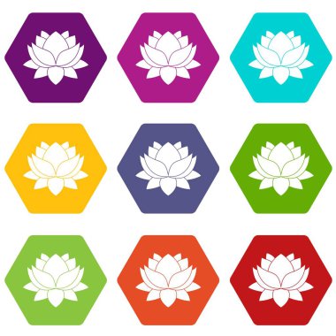 Renk altı yüzlü nilüfer çiçek Icon set