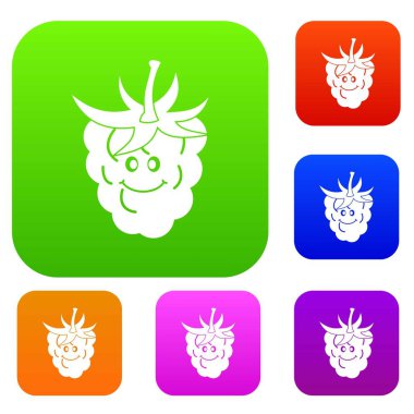 Olgun taze gülümseyen ahududu renk koleksiyonu ayarla