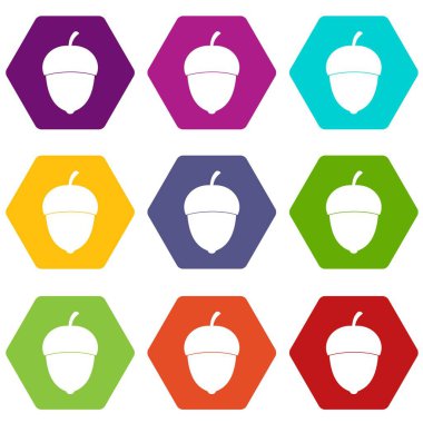 Renk altı yüzlü meşe palamudu Icon set