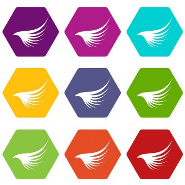 Renk altı yüzlü kanat Icon set