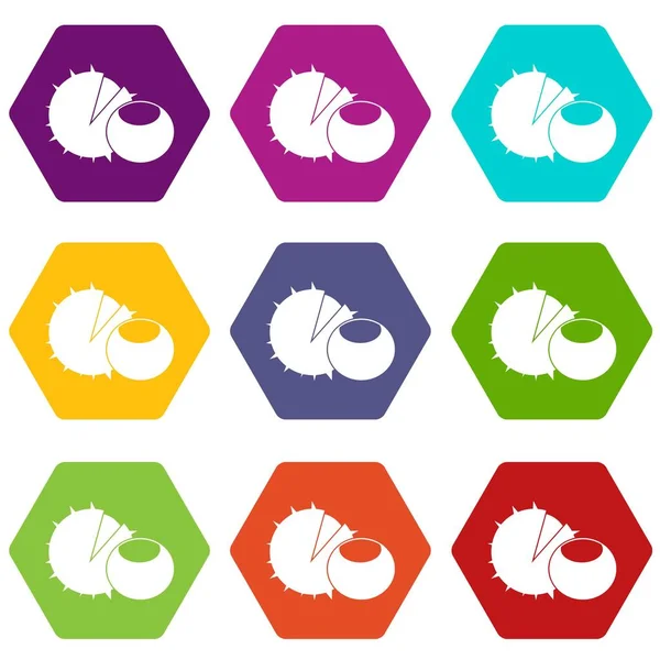 Renk altı yüzlü fındık Icon set