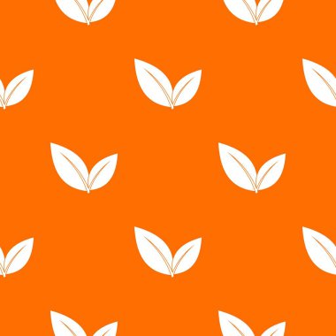 yaprak model sorunsuz