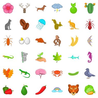 Panda Icons set, karikatür tarzı