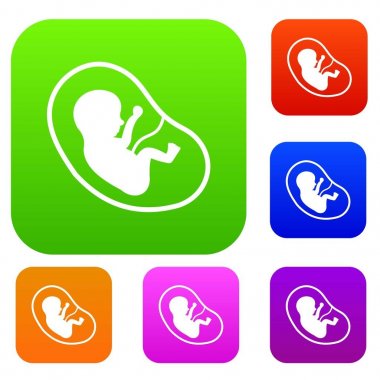 Fetus renk koleksiyonu ayarla