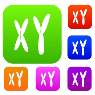 İnsan kromozomlarının renk koleksiyonu ayarla