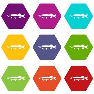 Renk altı yüzlü saury Icon set