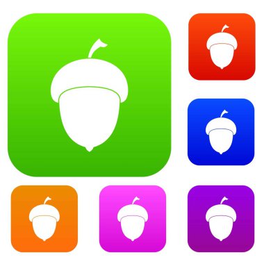 Meşe palamudu renk koleksiyonu ayarla