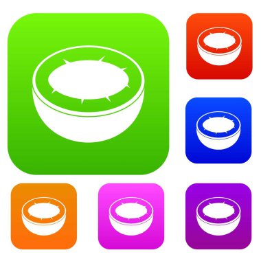 Half of coconut set color collection