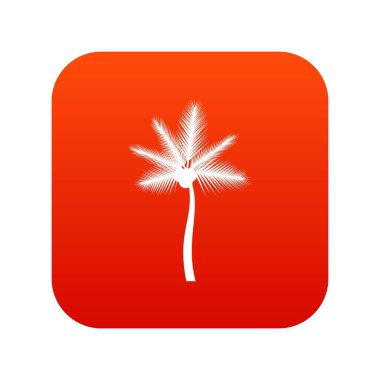 Palm butia capitata simgesi dijital kırmızı