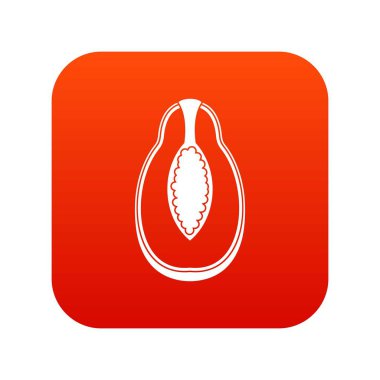 Papaya meyve simgesi dijital kırmızı
