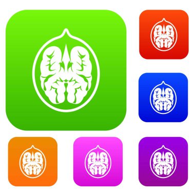 Ceviz renk koleksiyonu ayarla