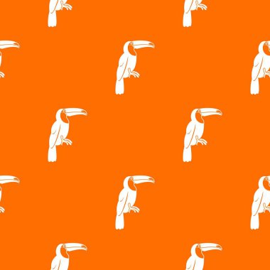 Brezilyalı toucan desen sorunsuz