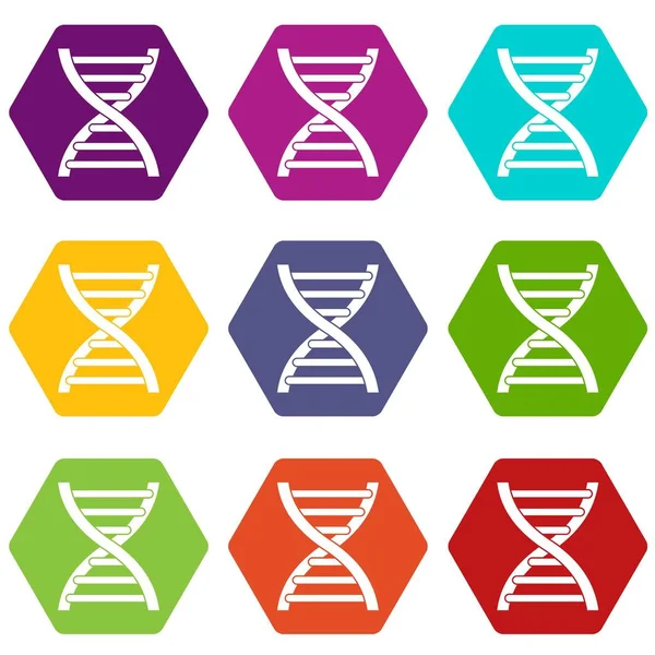 DNA icon set color hexahedron — Stock Vector