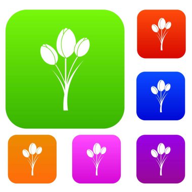 Lale renk koleksiyonu ayarla