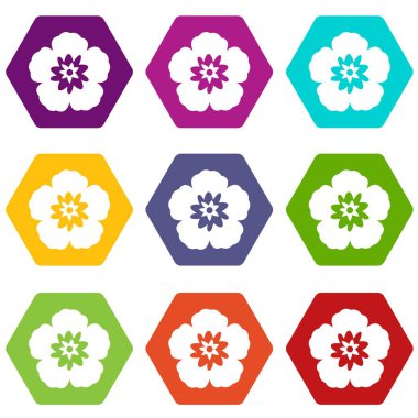 Rose of Sharon, renk altı yüzlü Kore çiçek Icon set