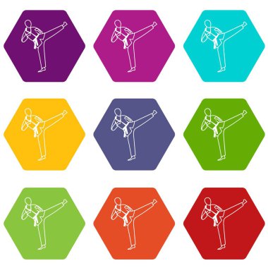 Renk altı yüzlü Wushu ana Icon set