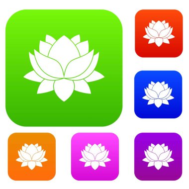 Nilüfer çiçek renk koleksiyonu ayarla