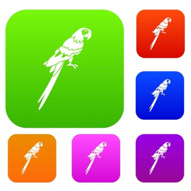 Brezilyalı papağan renk koleksiyonu ayarla